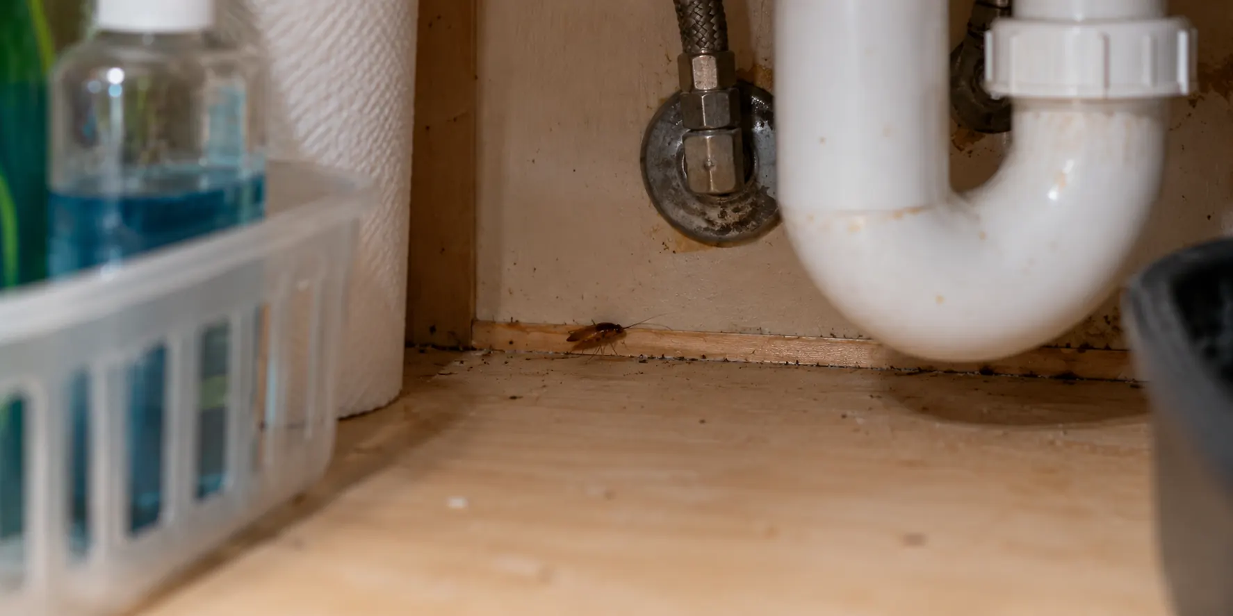 Cockroach Control service context